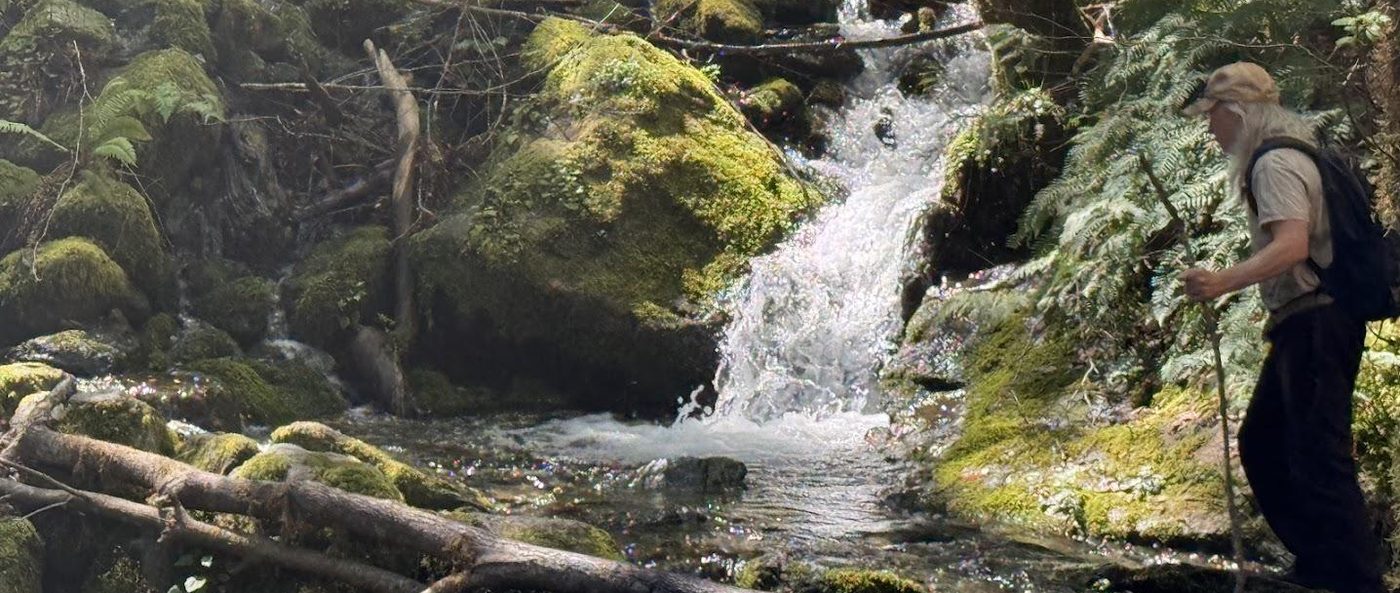 A walker beside a mossy cascade falling through ferns and redwood understory.