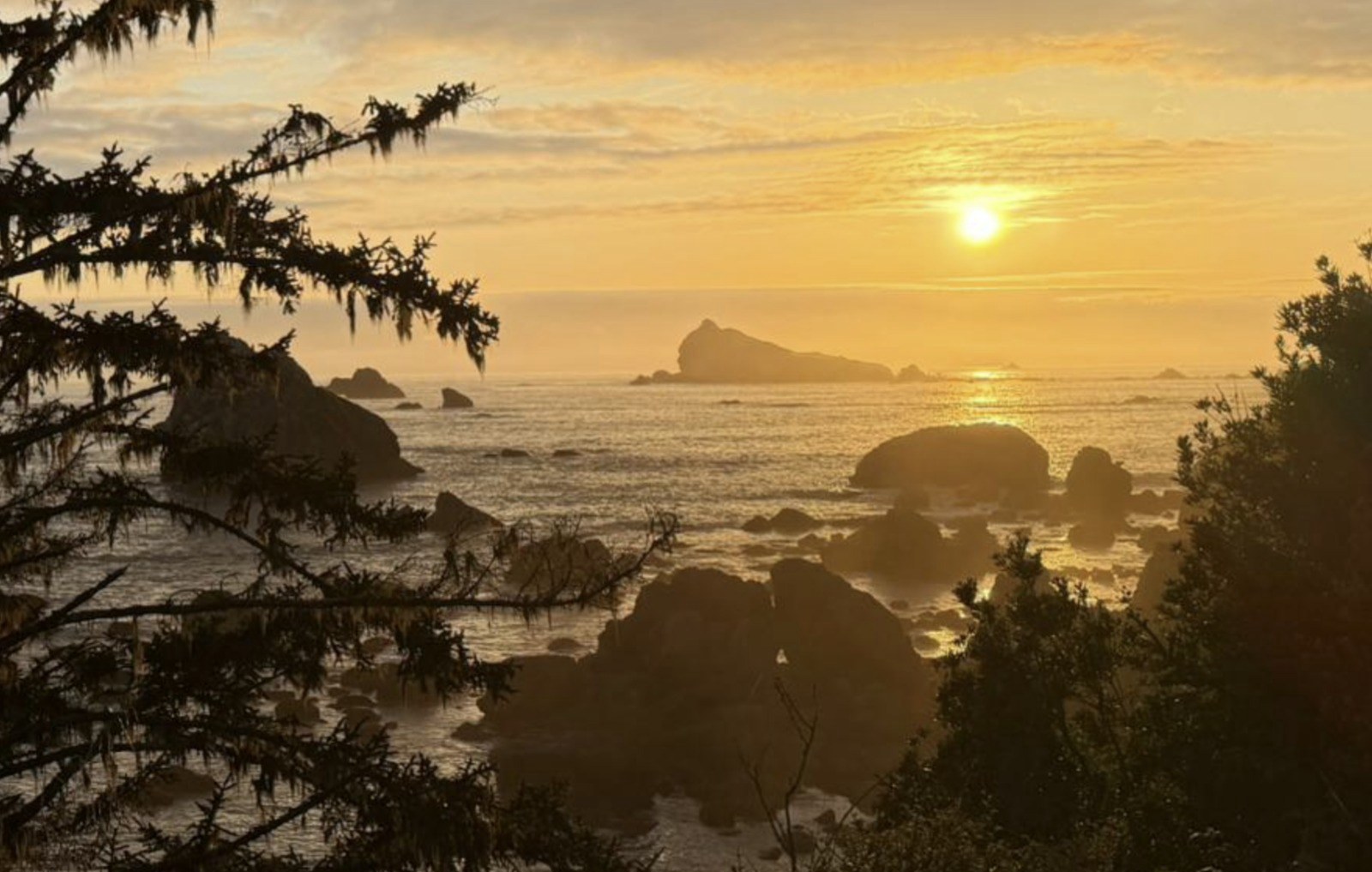 The sun setting over the Pacific, framed by trees and sea stacks on the Del Norte coast.